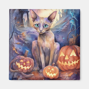 Imã Gato Abissino Do Halloween Com Pumpkins Assustado
