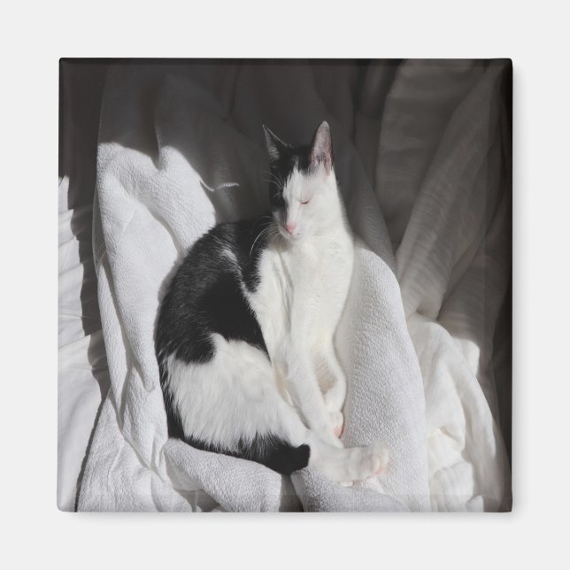 Imã Gato Adormecido Preto e Branco/Adicione a Foto do  (Frente)