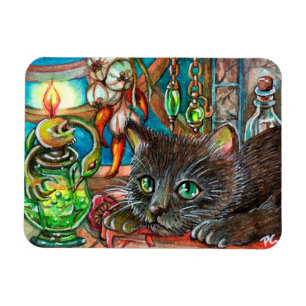Ímã Gato Alquimista