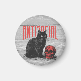 Imã Gato antissocial e crânio