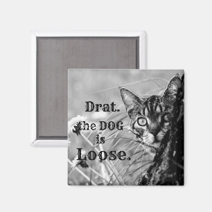 Imã Gato atrás da árvore, Drat, o Cachorro é solto. Ím