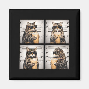 Imã Gato bebendo café gelado foto engraçada meme de an