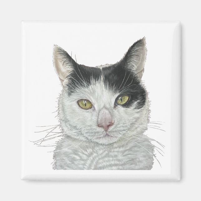 Imã Gato bonito (Frente)