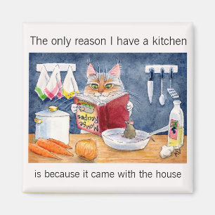 Imã Gato bonito, engraçado do cozinhar na cozinha