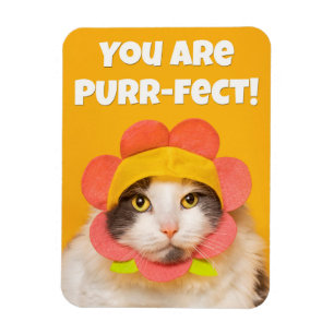 Ímã Gato Bonito no Humor do Chapéu Flor