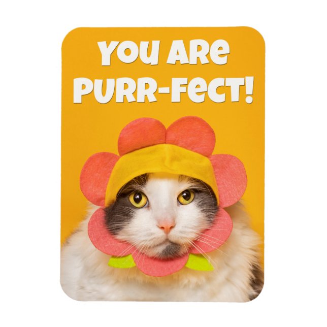 Ímã Gato Bonito no Humor do Chapéu Flor (Vertical)