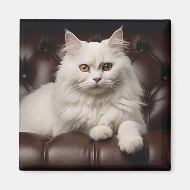 Imã Gato branco majestoso (Frente)