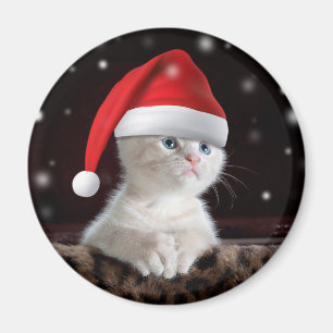 Imã Gato Branco no Chapéu do Papai Noel