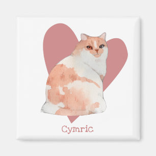 Imã Gato Címico Coração Cor de Água Gatinho Rosa