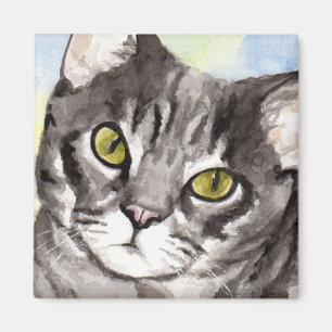 Imã Gato Cinza