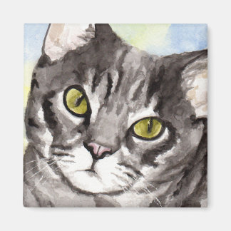 Imã Gato Cinza