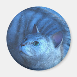 Imã Gato Cinza 4 Ímã