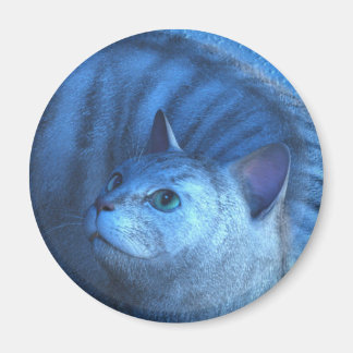 Imã Gato Cinza 4 Ímã