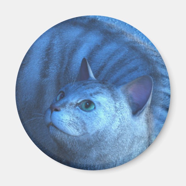 Imã Gato Cinza 4 Ímã (Frente)