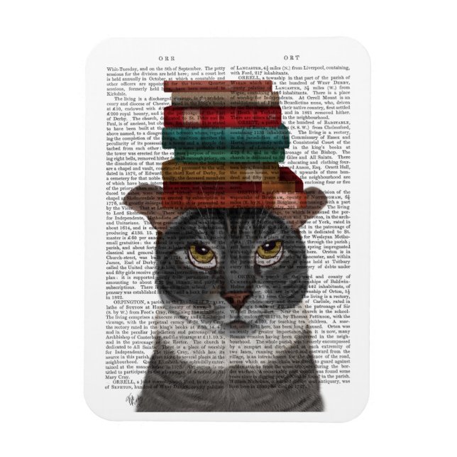 Ímã Gato cinza com Livros na Cabeça (Vertical)
