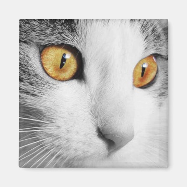 Imã Gato Cinza e Branco (Frente)
