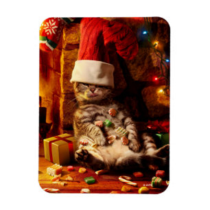 Ímã Gato com a Cabeça