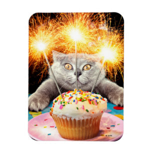 Ímã Gato com Cupcake Sparkler