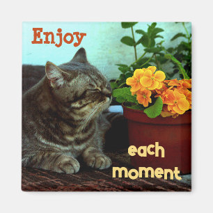 Imã Gato com Flores/Aproveite Cada Momen