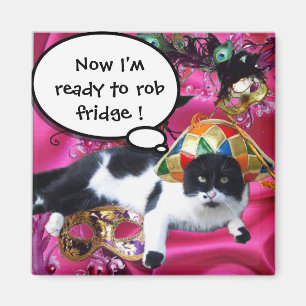 IMÃ GATO COM HARLEQUIN HAT E MÁSCARAS DE MASCARADA