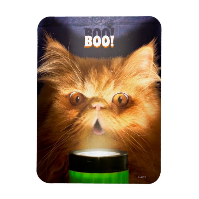 Ímã Gato com lanterna (Vertical)