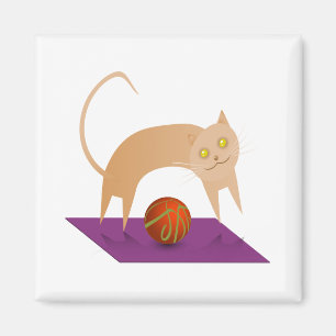 Imã Gato da canela