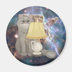 Imã Gato da História Legal