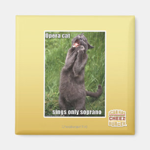 Imã Gato da ópera