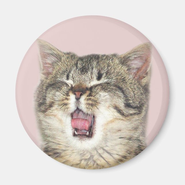 Imã Gato de boca aberta (Frente)