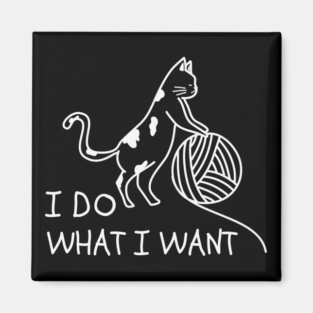 Imã Gato de Brincar (Frente)