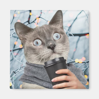 Imã Gato de café