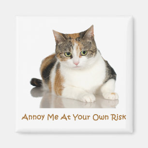 Imã Gato de chita: Irrite-me a seu próprio risco