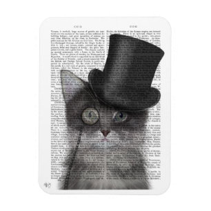 Ímã Gato de Cinza com chapéu superior