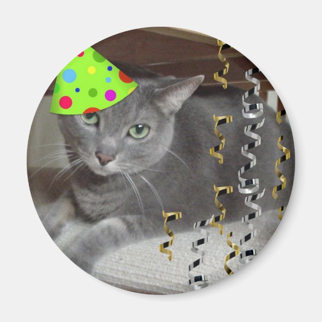 Imã Gato de Cinza de animais de festa (Frente)