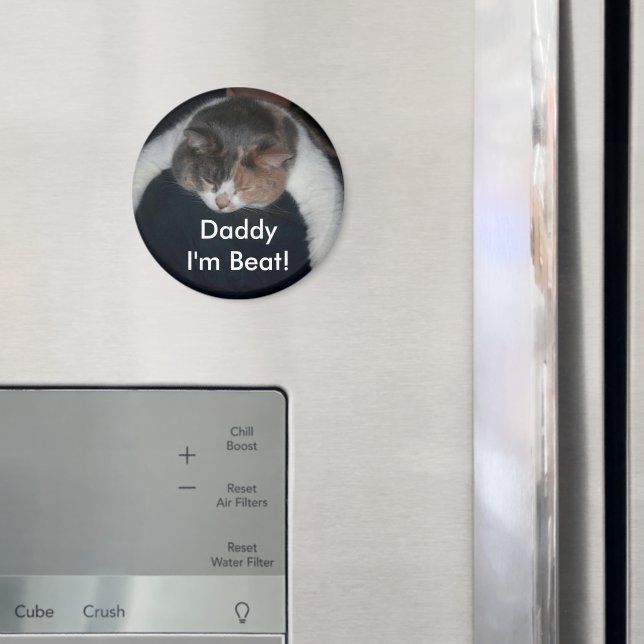 Imã Gato De Dormir Calico Em Pá (In Situ (Fridge))