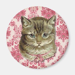 Imã Gato de gato malhado