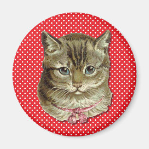 Imã Gato de gato malhado