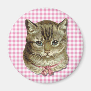 Imã Gato de gato malhado