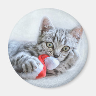 Imã Gato de gato malhado cinzento bonito com Xmas do