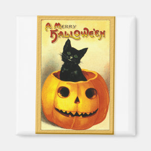 Imã Gato de Halloween Sentado na Jack O Lantern