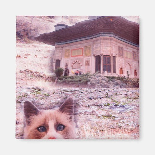 Imã Gato De Íman Quadrado De 5,1 Cm (Frente)