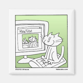 Imã Gato de Internet