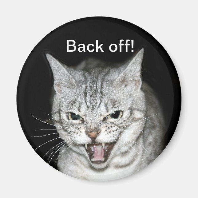 Imã Gato de isca (Frente)