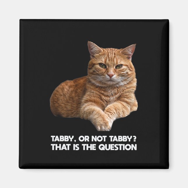 Imã Gato de Laranja Cinto (Frente)