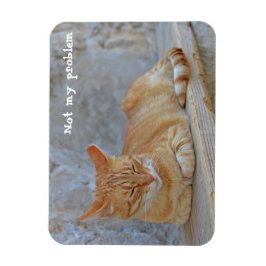 Ímã Gato de mesa descansando em Dubrovnik Não é proble