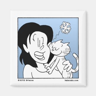 Imã Gato de Nariz Frio