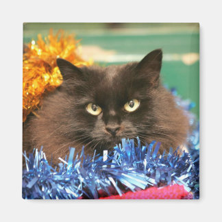 Imã Gato de Natal