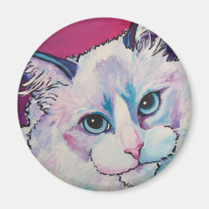 Imã Gato de Ragdoll