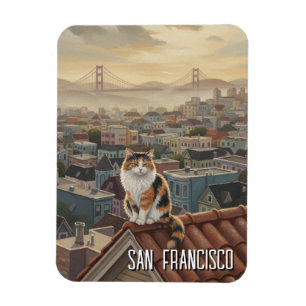 Ímã Gato de São Francisco no telhado