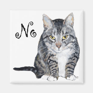 Imã Gato de Shorthair Americano - Não